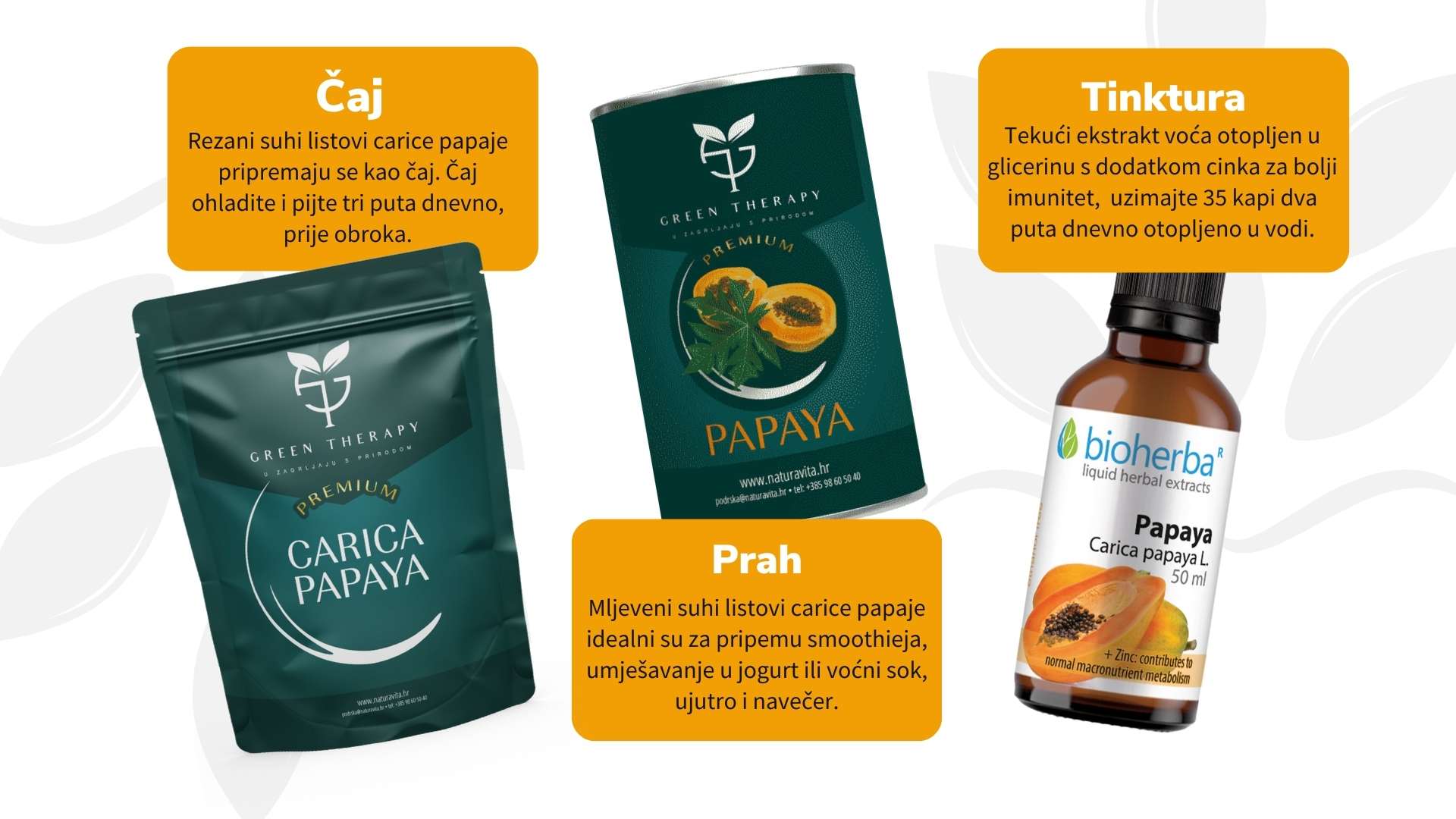carica papaja