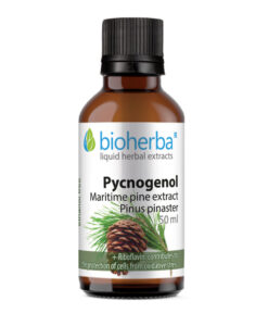 tinktura primorski bor