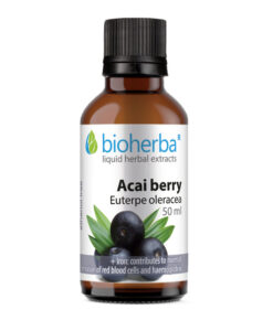 tinktura acai bobice