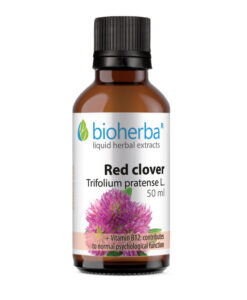 tinktura crvena djetelina