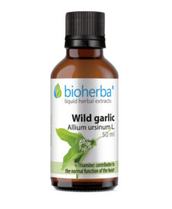 Tinktura medvjeđi luk