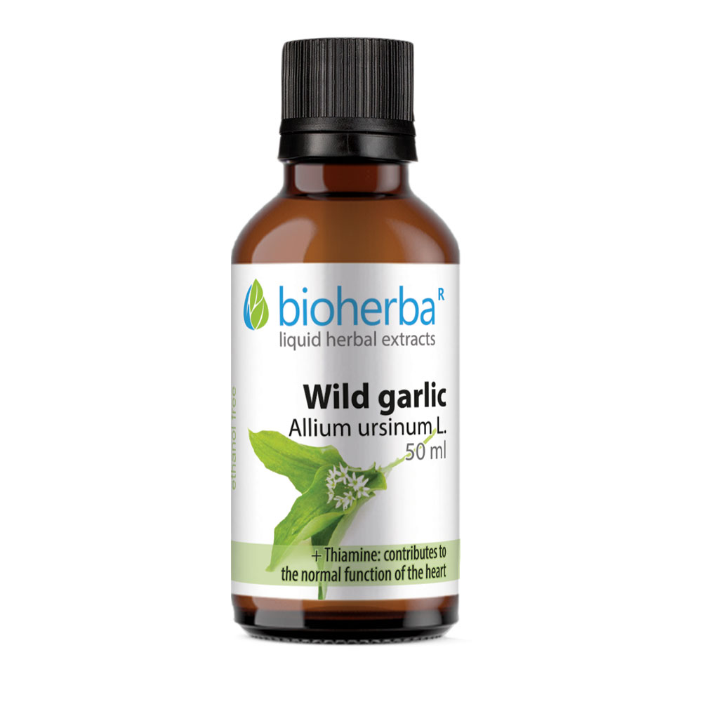 Tinktura medvjeđi luk