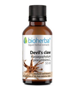 tinktura vražja kandža