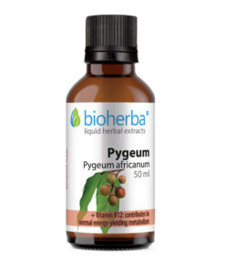 Tinktura afričla šljiva