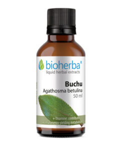 Tinktura buchu-barozma