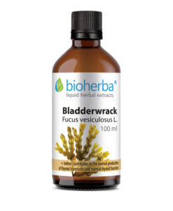 Tinktura mjehurasti bračić