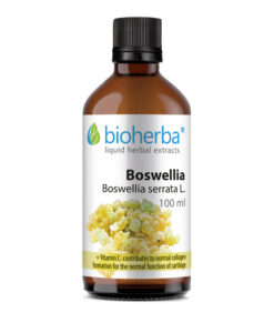 Tinktura indijski tamjanovac