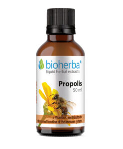 Tinktura propolis